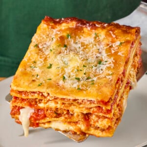 A spatula holding a serving of lasagna.