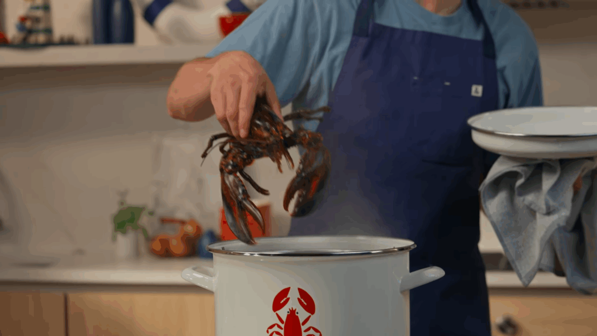 A lobster being added to a steaming pot of water.