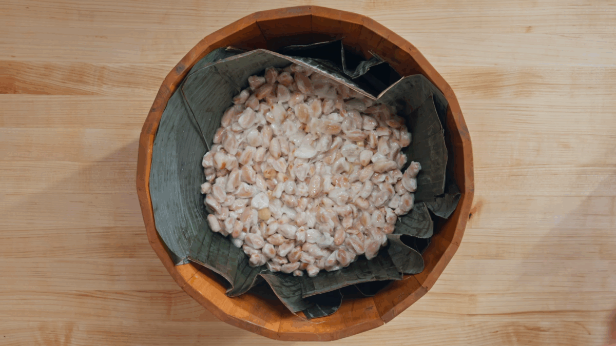A bamboo leaf lined bowl full of cacao beans. 